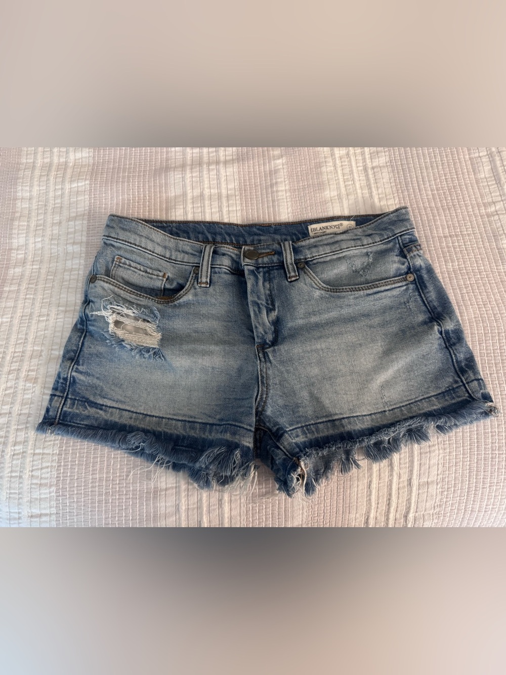 BLANK NYC — distressed hiker short